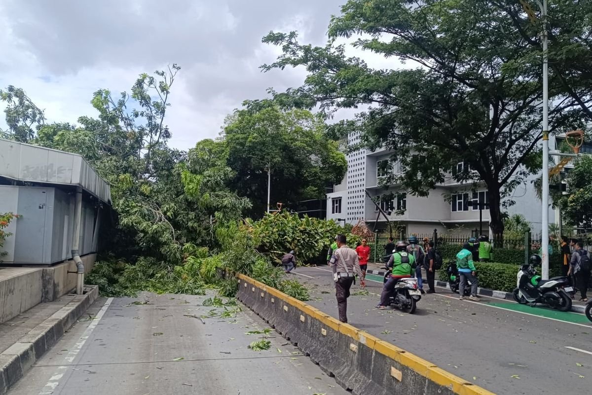 Pohon Tumbang di Senayan Ganggu Operasional MRT Jakarta