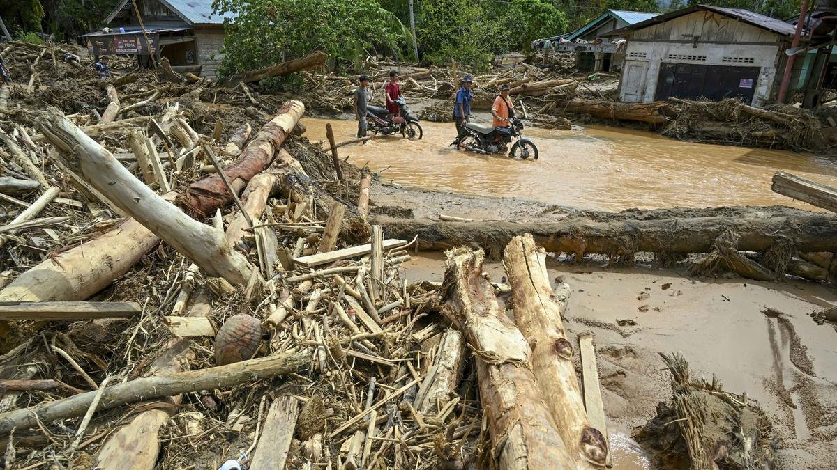Hanif Duga Kayu Banjir di Sumatra Sisa Pembukaan Lahan Sawit