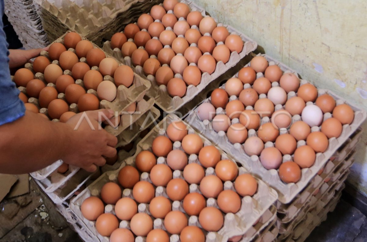 Harga Pangan Terbaru PIHPS: Cabai Rawit Merah Rp74.800/Kg, Telur Ayam Rp33.000