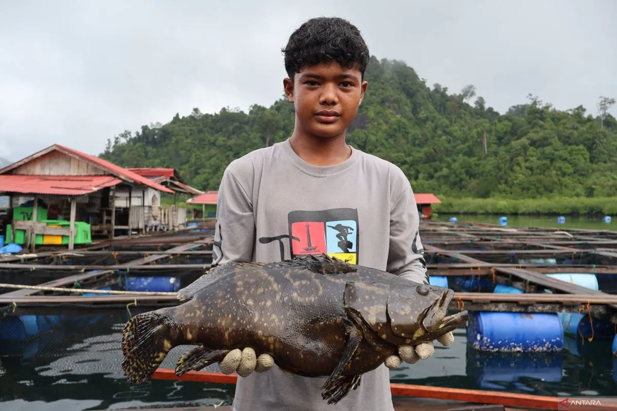 Ekspor Perdana Ikan Segar Bulukumba ke Arab Saudi Tembus 1 Ton