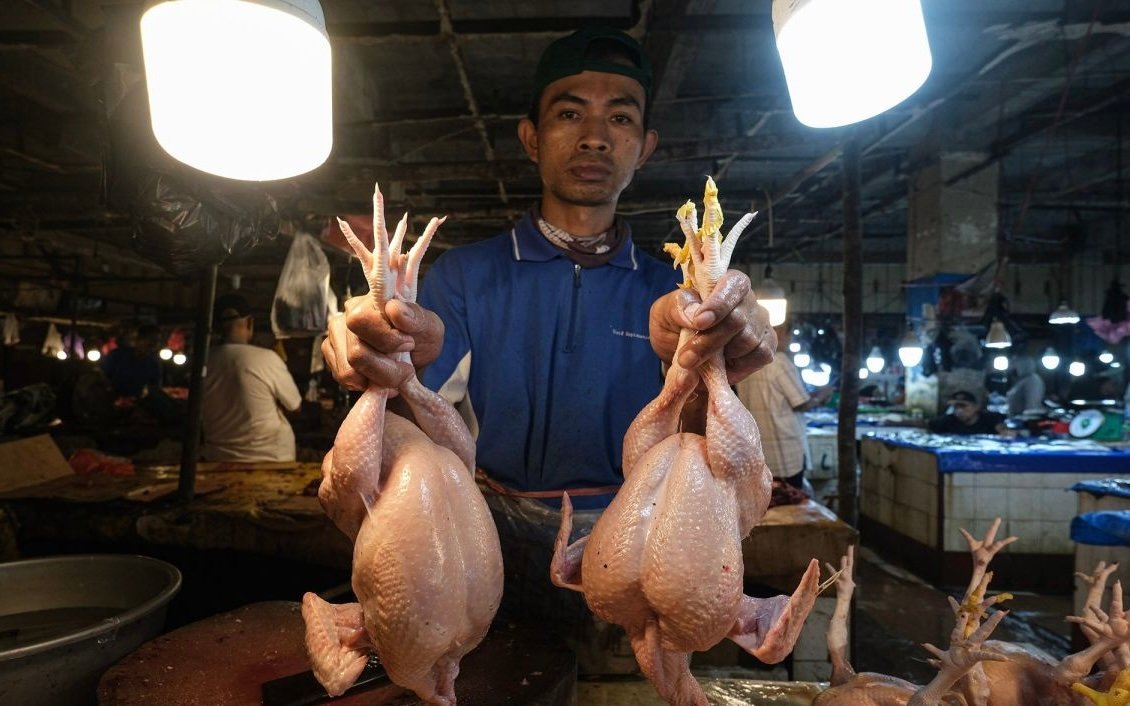 Jaga Stabilitas Pangan, Pemerintah Pastikan Stok dan Harga Daging Ayam Ras Aman
