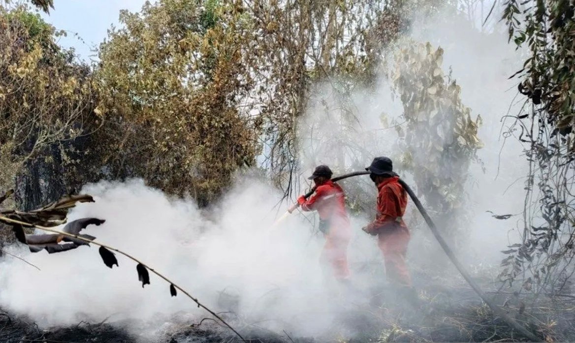 Tim Gabungan Turunkan Personel Full Power Padamkan Karhutla di Kabupaten Kampar
