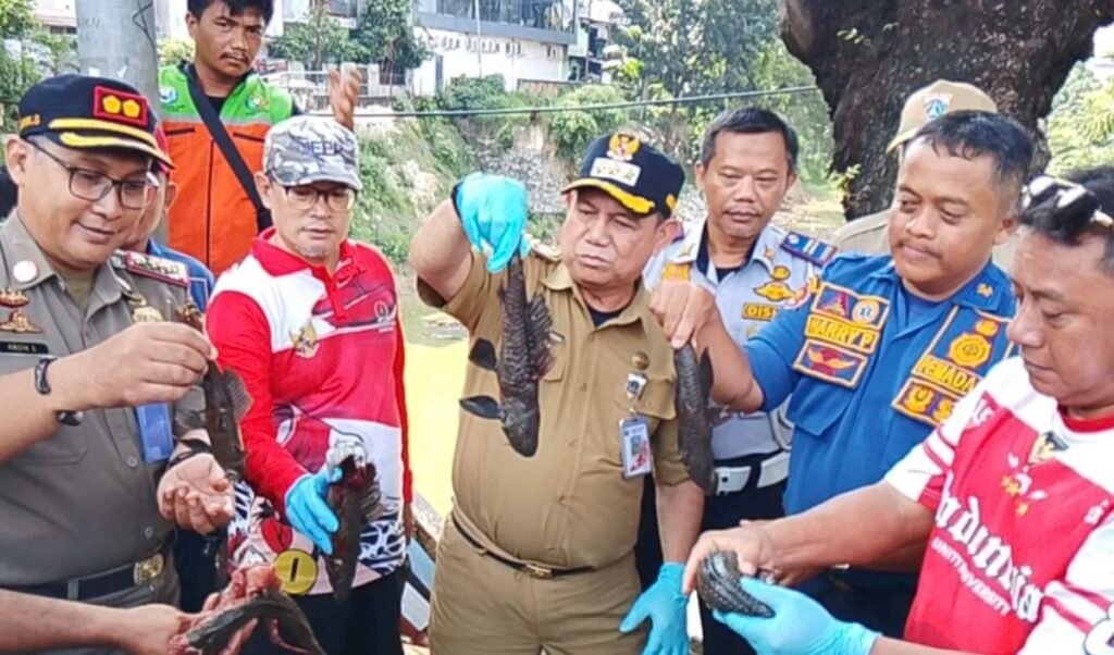 KPKP Jakarta Timur Instruksikan Penangkapan Ikan Sapu-Sapu di Seluruh Kecamatan