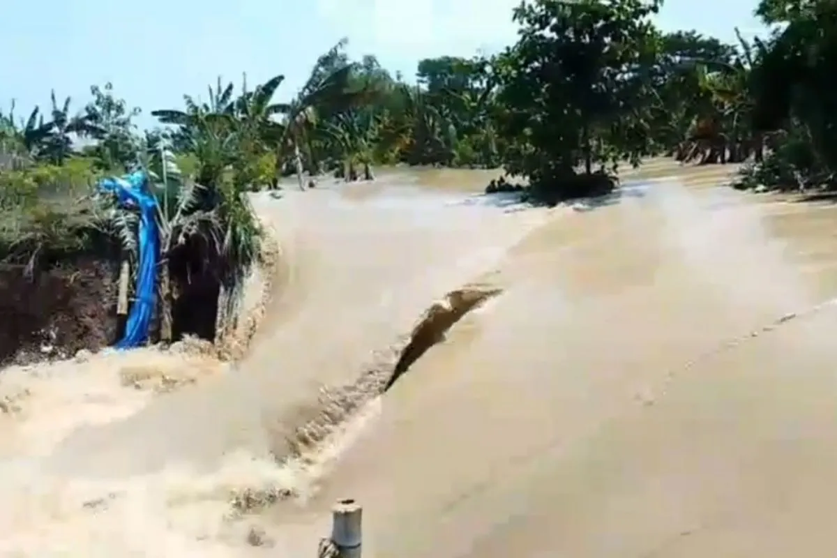 Banjir Susulan di Demak, Tanggul Sungai Tuntang Jebol di Beberapa Titik