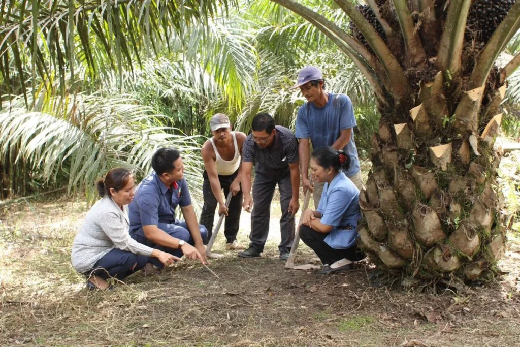 BPDP Sebut PalmCo Jadi Perusahaan Paling Proaktif Dampingi PSR di Indonesia