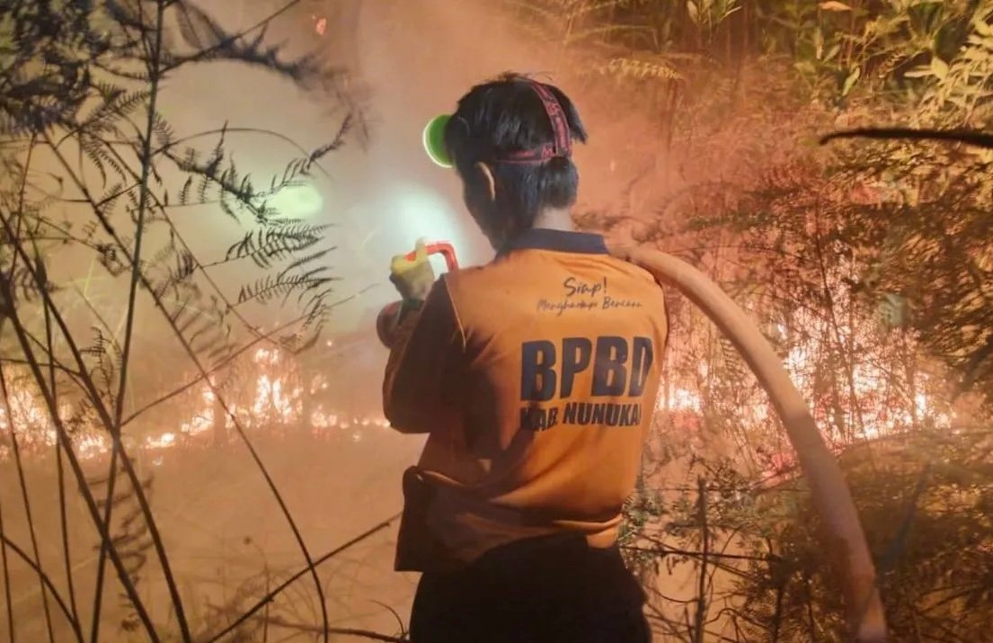 BNPB Sebut Penyebab Karhutla di Kaltara Masih Dalam Penyelidikan