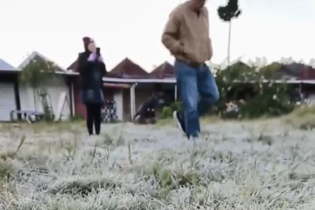 Dieng Membeku! Fenomena Embun Upas Kembali Muncul di Candi Arjuna