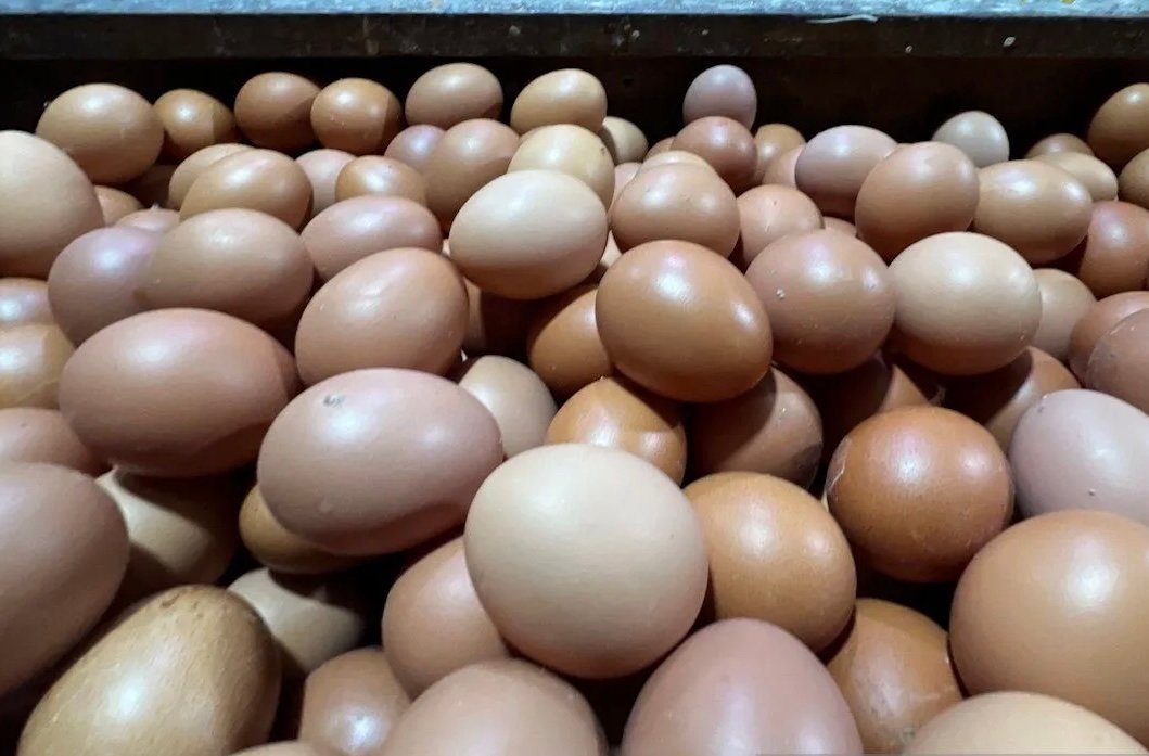 Daftar Harga Pangan Hari Ini: Telur Ayam Rp29.750 per Kg, Bawang Merah Masih Rp50.950 per Kg