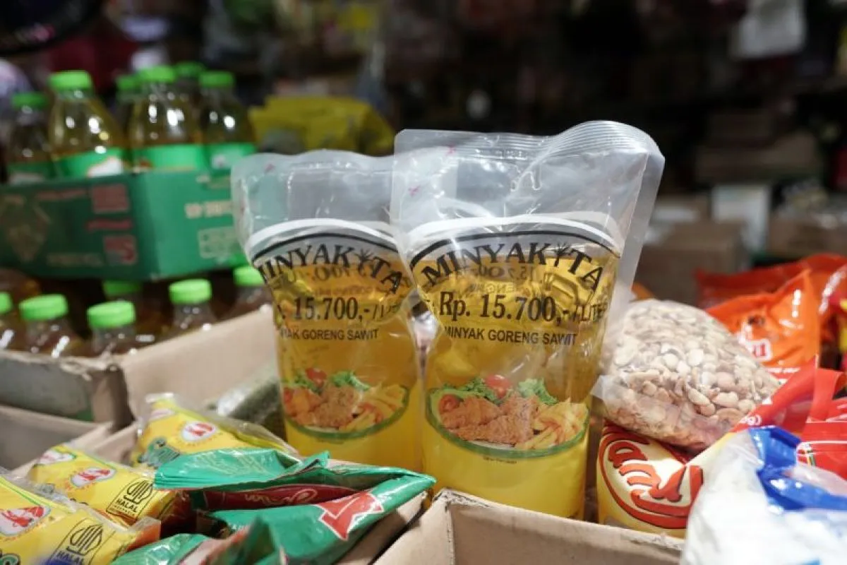Bulog Ambil Langkah Cepat, Seluruh Minyakita Berbau Solar Ditarik dari Pasar