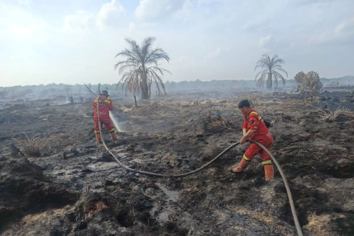 Karhutla di Rokan Hilir Riau: Manggala Agni Padamkan Api di Lahan 7,5 Hektare