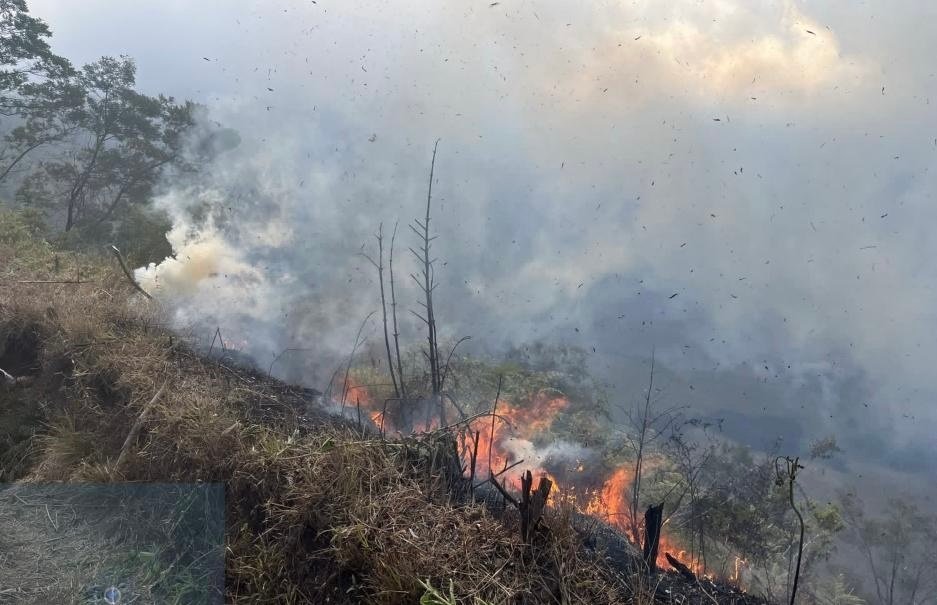 Tim Reaksi Cepat BPBD Lumajang Atasi Karhutla di Kawasan Bromo