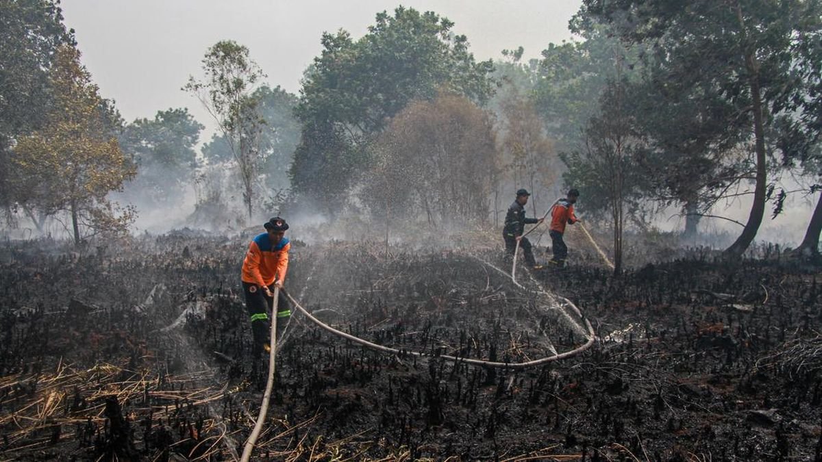 Pemkot Palangka Raya Perpanjang Tanggap Darurat Kebakaran Hutan dan Lahan