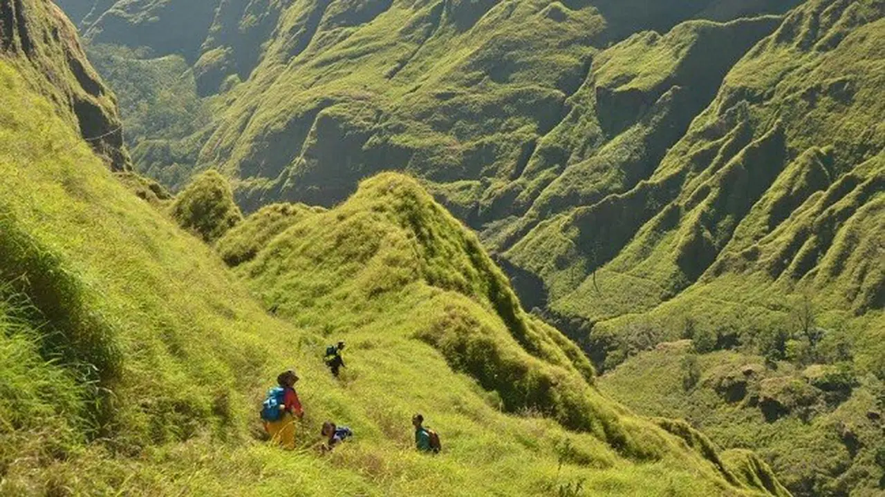 Kebakaran Hutan Meluas, Jalur Torean TNGR Ditutup untuk Pendaki