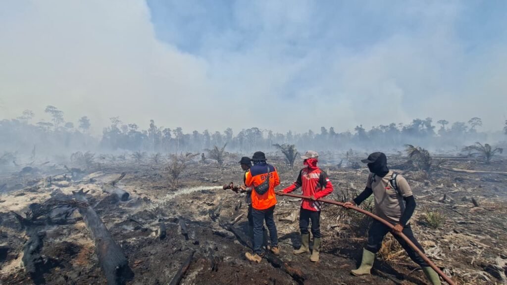 BNPB Sebut Karhutla di Enam Provinsi Belum Padam, Sisa 96,07 Hektare