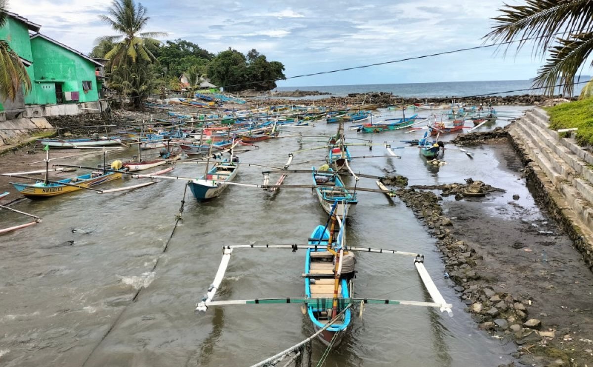KNMP Lampung Selatan Tingkatkan Nilai Jual Ikan Jadi Rp14.000 per Kg