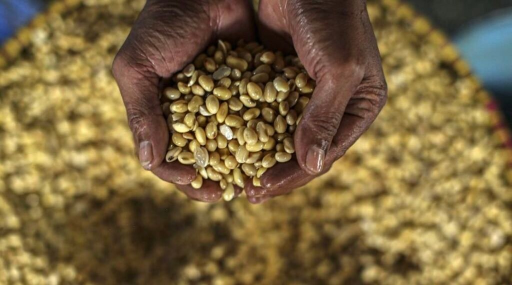 Solusi Harga Kedelai Naik, Mendag Pertimbangkan Subsidi Perajin Tempe
