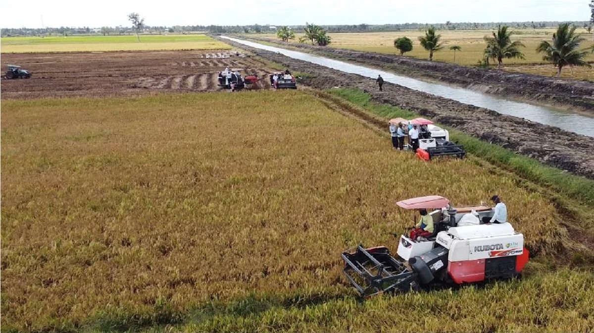 Menko Zulhas Sebut Biaya Produksi Beras Indonesia Capai Rp14 Ribu per Kg
